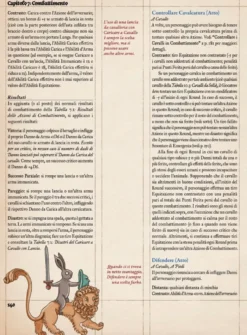 AMMACCATO - EDIZIONE MAGNUM OPUS - Pendragon Edizione Italiana - Manuale Base