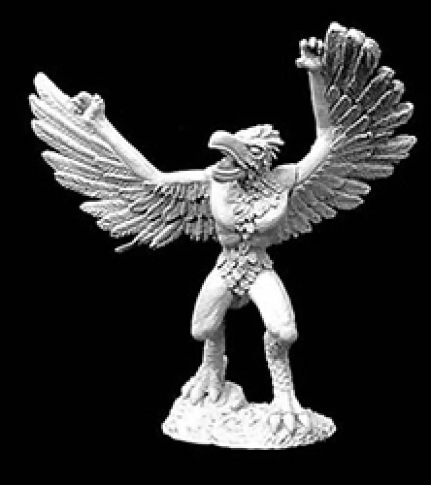 Bird Man Aaracockra