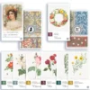 Botany - Rose Reali