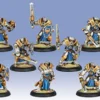 Cygnar - Sword Knights Unit