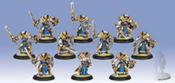Cygnar - Sword Knights Unit