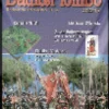 Dadi & Piombo #15