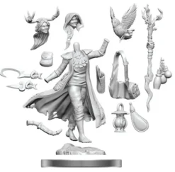 D&D Frameworks: Human Druid Female