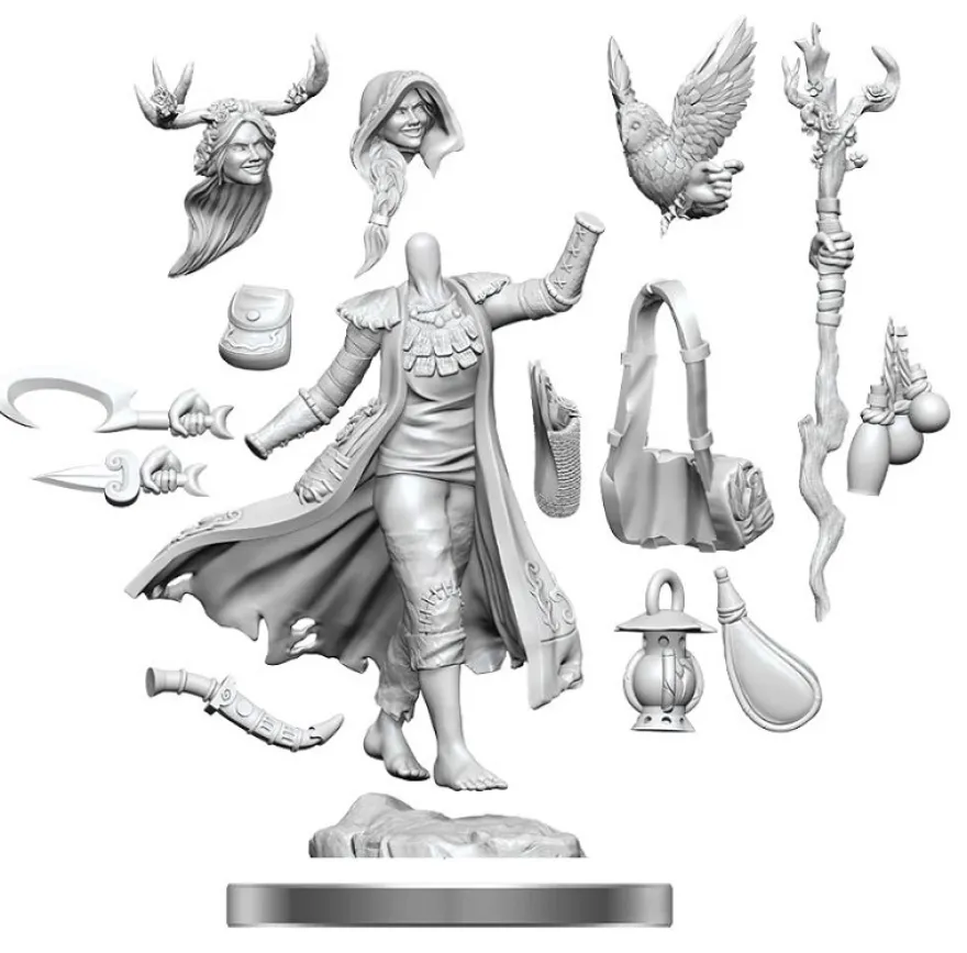D&D Frameworks: Human Druid Female
