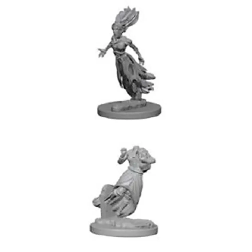 D&D Nolzur's Marvelous Miniatures - Fantasma e Banshee