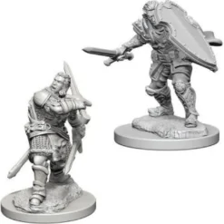 D&D Nolzur's Marvelous Miniatures - Paladino Umano Maschio