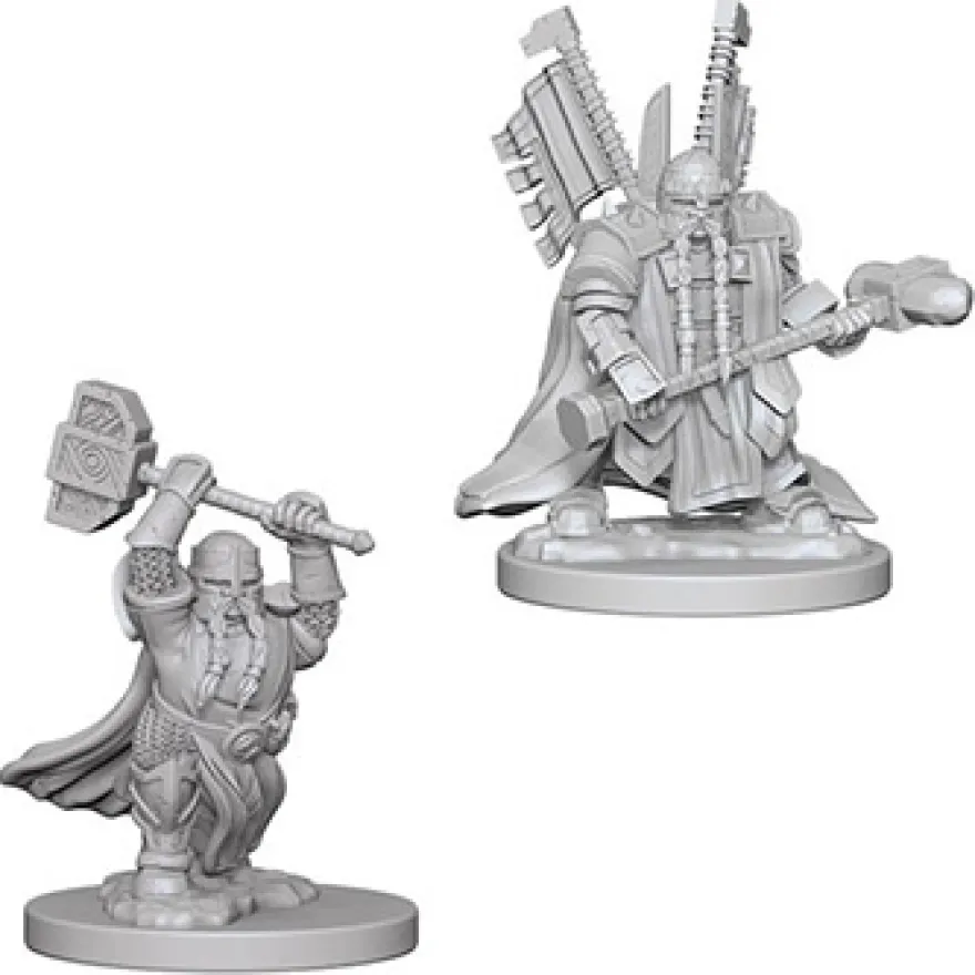 D&D Nolzur's Marvelous Miniatures - Paladino Nano Maschio