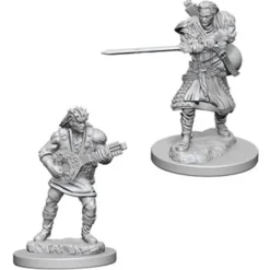 D&D Nolzur's Marvelous Miniatures - Bardo Umano Maschio