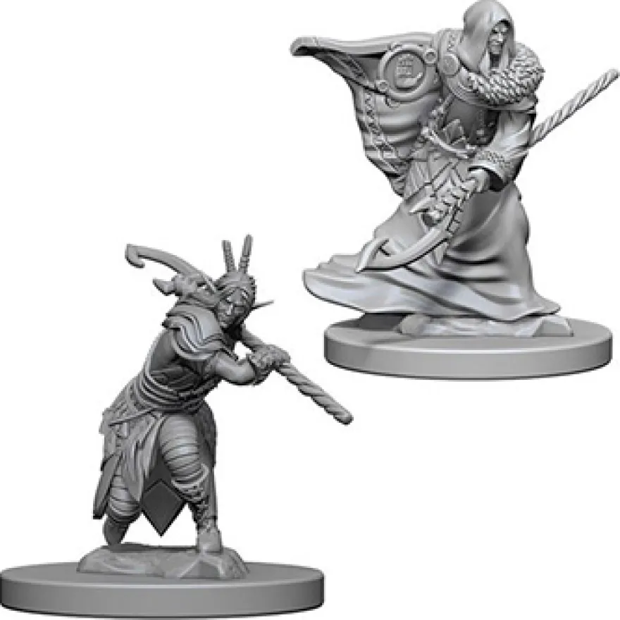 D&D Nolzur's Marvelous Miniatures - Druido Elfo Maschio