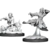 D&D Nolzur's Marvelous Miniatures - Monaco Umano Femmina