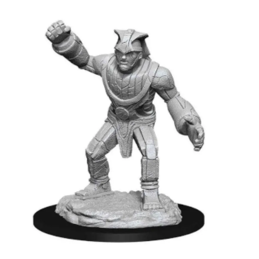 D&D Nolzur's Marvelous Miniatures - Golem di Pietra