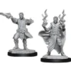 D&D Nolzur's Marvelous Miniatures - Stregone Umano Maschio