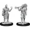 D&D Nolzur's Marvelous Miniatures - Bardo Mezzelfo Maschio