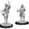 D&D Nolzur's Marvelous Miniatures - Stregone Tiefling Maschio