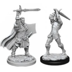 D&D Nolzur's Marvelous Miniatures - Paladino Umano Maschio