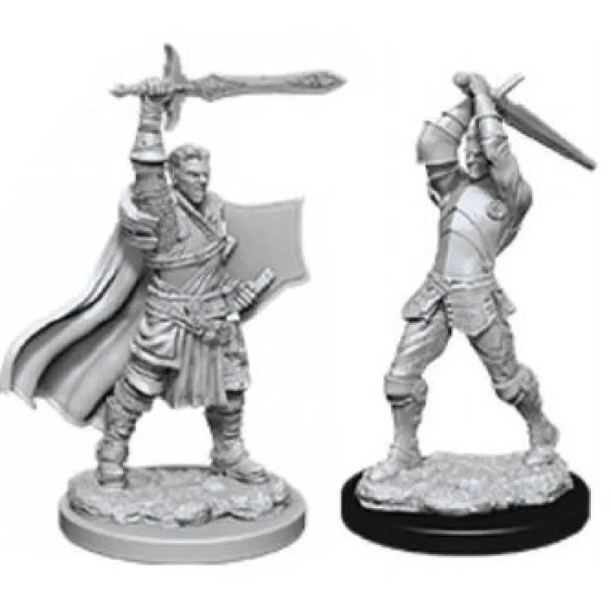 D&D Nolzur's Marvelous Miniatures - Paladino Umano Maschio