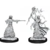 D&D Nolzur's Marvelous Miniatures - Mago Elfo Femmina