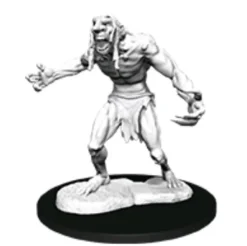 D&D Nolzur's Marvelous Miniatures - Troll Adirato