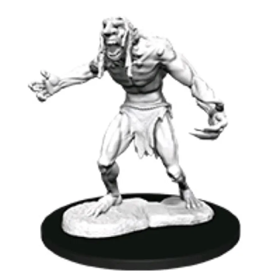 D&D Nolzur's Marvelous Miniatures - Troll Adirato