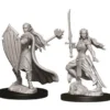 D&D Nolzur's Marvelous Miniatures - Paladino Elfo Femmina