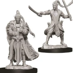 D&D Nolzur's Marvelous Miniatures - Paladino Elfo Maschio