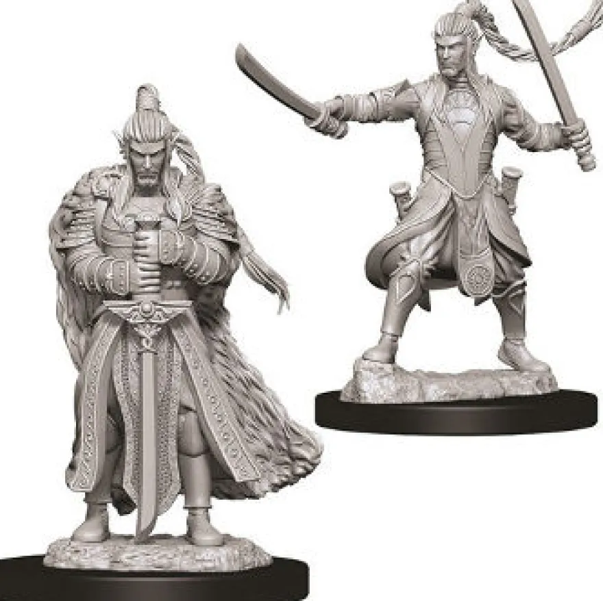 D&D Nolzur's Marvelous Miniatures - Paladino Elfo Maschio