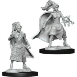 D&D Nolzur's Marvelous Miniatures - Stregone Umano Femmina
