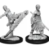 D&D Nolzur's Marvelous Miniatures - Monaco Mezzelfo Maschio