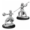 D&D Nolzur's Marvelous Miniatures - Monaco Mezzelfo Femmina