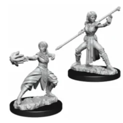 D&D Nolzur's Marvelous Miniatures - Monaco Mezzelfo Femmina