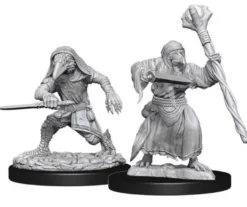D&D Nolzur's Marvelous Miniatures - Kenku Adventurers