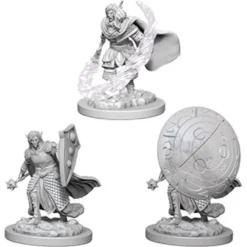 D&D Nolzur's Marvelous Miniatures - Chierico Elfo Maschio