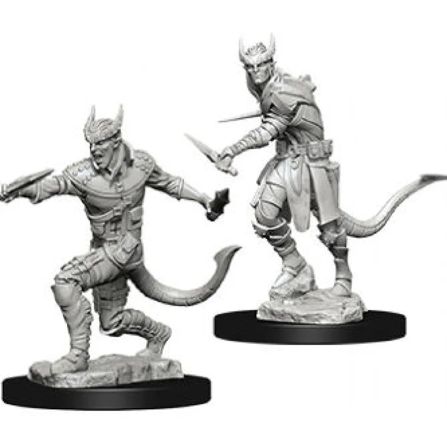 D&D Nolzur's Marvelous Miniatures - Ladro Tiefling Maschio