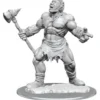 D&D Nolzur's Marvelous Miniatures - Ciclope
