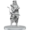 D&D Nolzur's Marvelous Miniatures - Assassin & Berserker