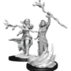 D&D Nolzur's Marvelous Miniatures - Druido Umano Femmina