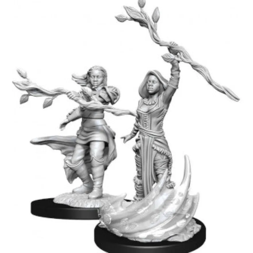 D&D Nolzur's Marvelous Miniatures - Druido Umano Femmina