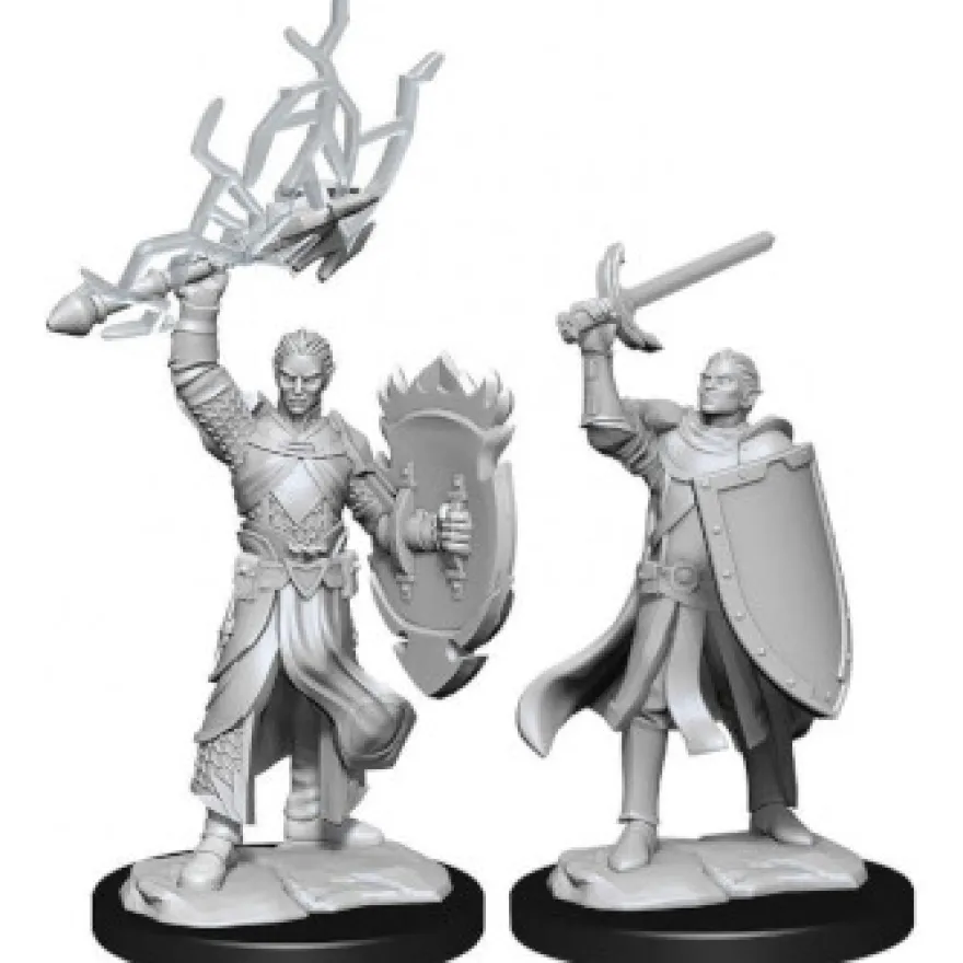 D&D Nolzur's Marvelous Miniatures - Paladino Mezzelfo Maschio