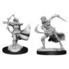 D&D Nolzur's Marvelous Miniatures - Genasi dell'Aria Femmina