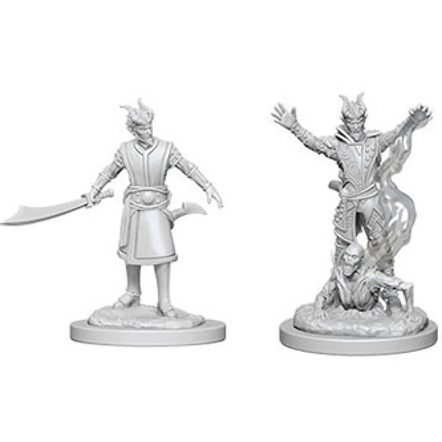 D&D Nolzur's Marvelous Miniatures - Warlock Tiefling Maschio