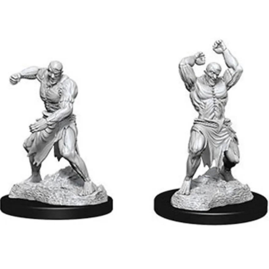 D&D Nolzur's Marvelous Miniatures - Golem di Carne