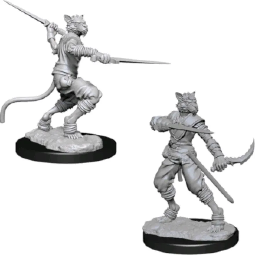 D&D Nolzur's Marvelous Miniatures - Ladro Tabaxi Maschio