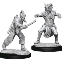 D&D Nolzur's Marvelous Miniatures - Monaco Umano Maschio