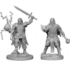 D&D Nolzur's Marvelous Miniatures - Chierico Umano Maschio