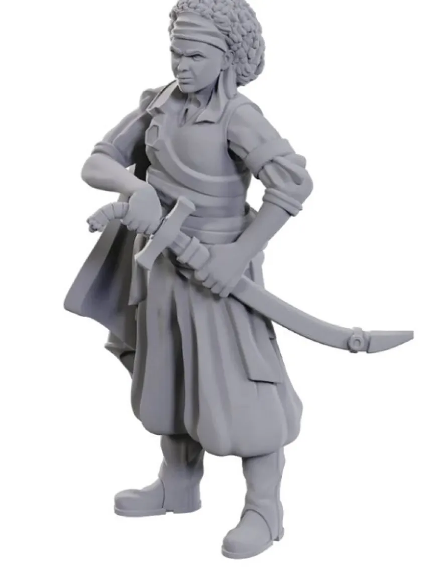 D&D Nolzur's Marvelous Miniatures - Ansalon Human Rogue