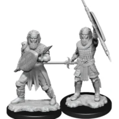 D&D Nolzur's Marvelous Miniatures - Guerriero Umano Maschio