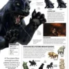 Dungeons & Dragons - La Leggenda di Drizzt - Dizionario Illustrato