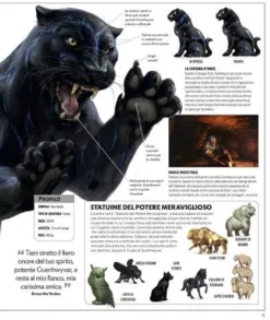 Dungeons & Dragons - La Leggenda di Drizzt - Dizionario Illustrato