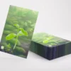 Forest Shuffle - Art Sleeves