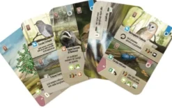 Forest Shuffle: Dartmoor - Italiano